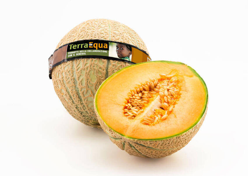 2024 03 Terra Equa meloni