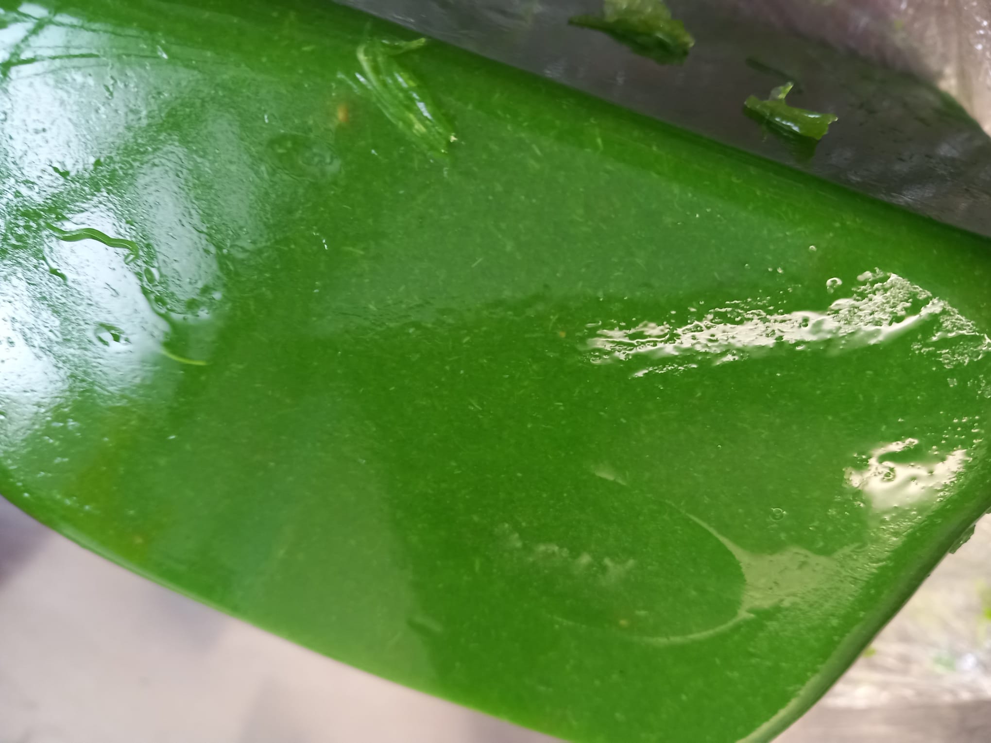 Fruttilette Pera e Pepe Rosa Fetta di Verdurette Lattuga