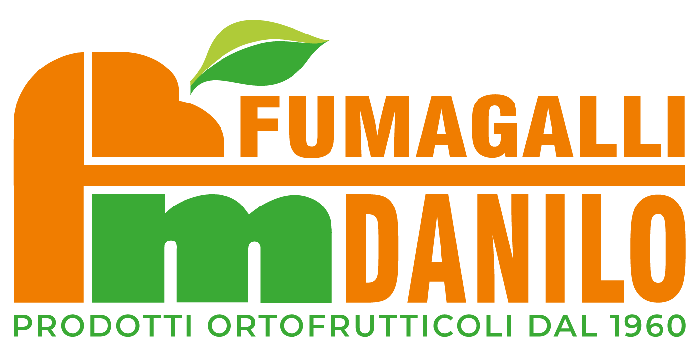 Logo Fumagalli Danilo Besana in Brianza