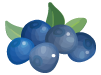 Fruttilette Mirtillo